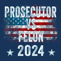 Prosecutor Vs Felon 2024 16 in Basic Backpack