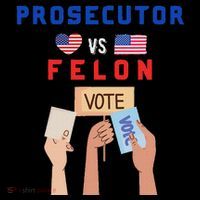 Prosecutor Vs Felon Vote Wool Snapback Cap