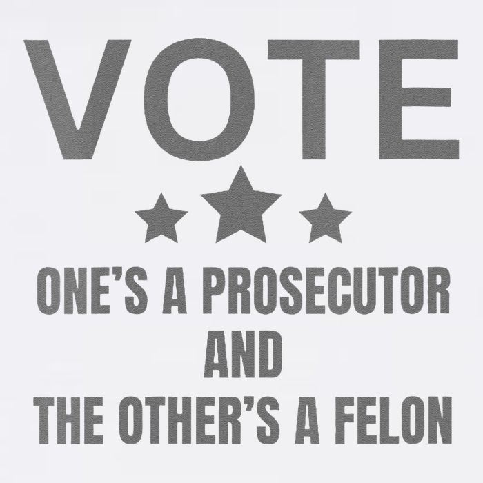 Prosecutor Versus Felon Voter Funny Political Wool Snapback Cap