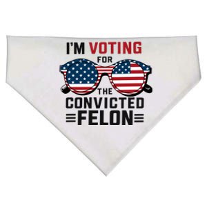 Patriotic Voting Humor Graphic USA-Made Doggie Bandana