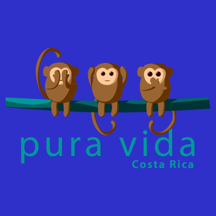 Pura Vida Monkeys Costa Rica Gift V-Neck T-Shirt