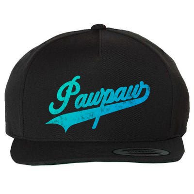 Pawpaw Vintage Retro Style Father’S Day Gift For Dad Grandpa Meaningful Gift Wool Snapback Cap