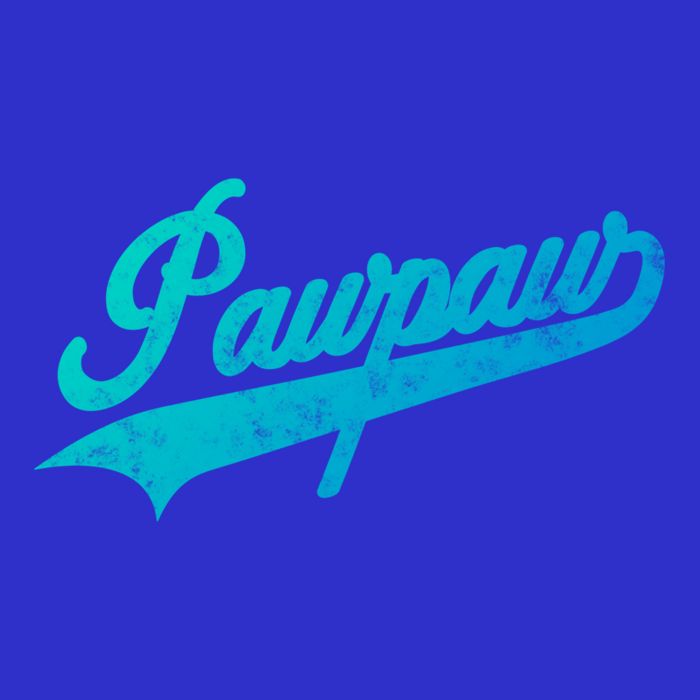 Pawpaw Vintage Retro Style Father’S Day Gift For Dad Grandpa Meaningful Gift Kids T-Shirt