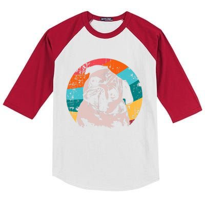 Pug Vintage Style Meaningful Gift Idea Kids Colorblock Raglan Jersey