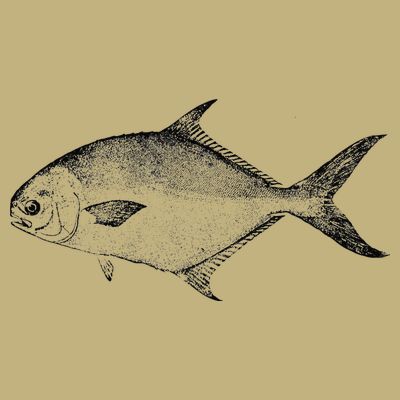 Pompano Vintage Style Pompano Fishing Retro Gift T-Shirt