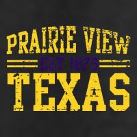 Prairie View Texas Prairie Gift Distressed 7 Panel Mesh Trucker Snapback Hat