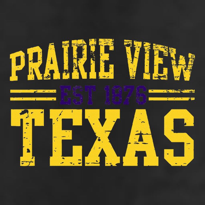 Prairie View Texas Prairie Gift Distressed 7 Panel Mesh Trucker Snapback Hat