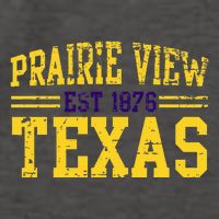 Prairie View Texas Prairie Gift Distressed Vector Backpack
