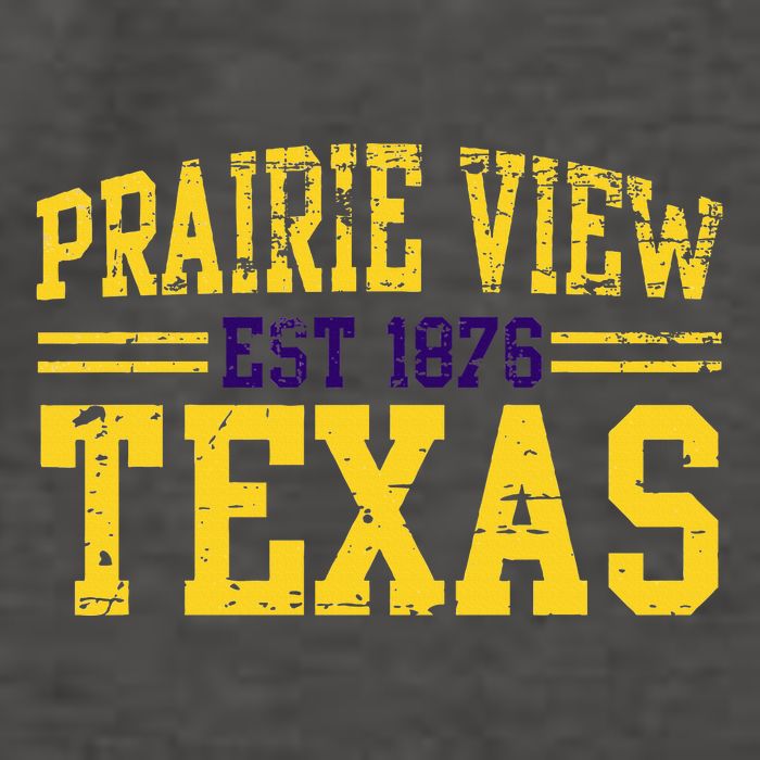 Prairie View Texas Prairie Gift Distressed Vector Backpack