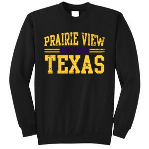 Prairie View Texas, Prairie Gift, Distressed Text Sweatshirt