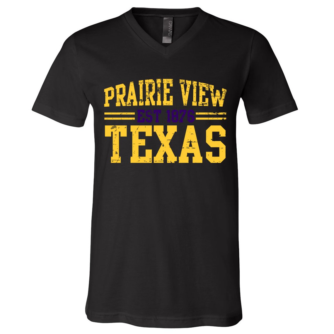 Prairie View Texas, Prairie Gift, Distressed Text V-Neck T-Shirt