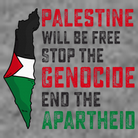 Palestine Will Be Free Stop The Genocide End The Apartheid Tall Hoodie