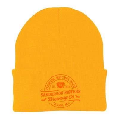 Premium Witches Brew Est 1963 Sanderson Sisters Brewing Co Halloween Costume Knit Cap Winter Beanie