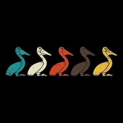 Pelican Water Bird Ornithology Tropical Pelican Gift Pelican T-Shirt