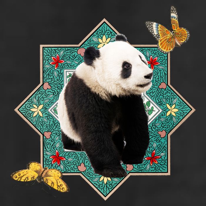 Panda With Butterflies 7 Panel Mesh Trucker Snapback Hat