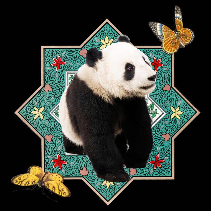 Panda With Butterflies Sustainable Bucket Hat
