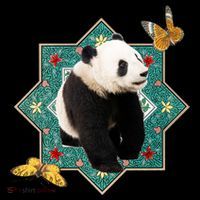 Panda With Butterflies 7-Panel Snapback Hat