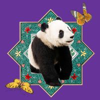 Panda With Butterflies Poster