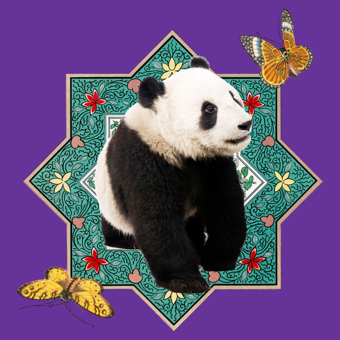 Panda With Butterflies Poster