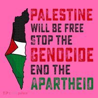 Palestine Will Be Free Stop The Genocide End The Apartheid Stripe Pom Pom Beanie