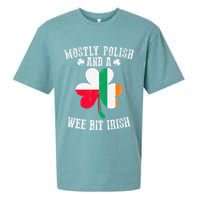 Polish Wee Bit Irish Poland Funny St Patricks Day Sueded Cloud Jersey T-Shirt