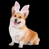 Pembroke Welsh Corgi Wearing Easter Bunny Ears Dog Drawstring Bag