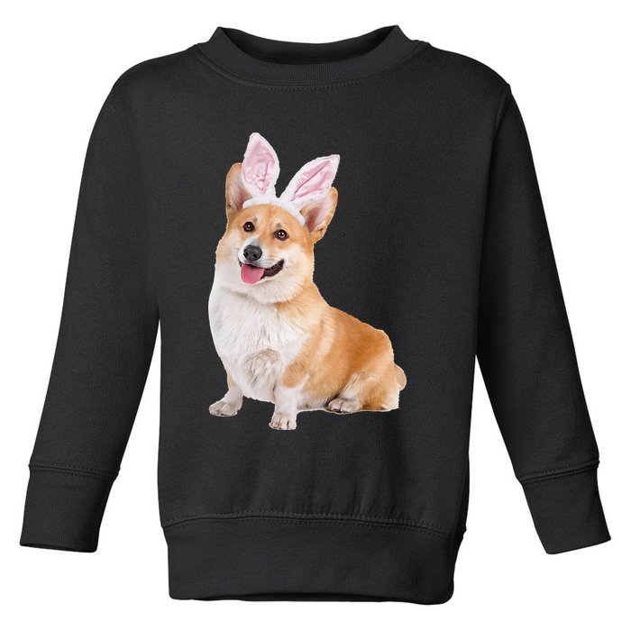 Pembroke Welsh Corgi Wearing Easter Bunny Ears Dog Toddler Sweatshirt