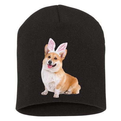 Pembroke Welsh Corgi Wearing Easter Bunny Ears Dog Short Acrylic Beanie