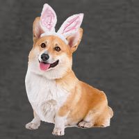 Pembroke Welsh Corgi Wearing Easter Bunny Ears Dog Vector Backpack