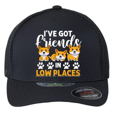 Pembroke Welsh Corgi Gift I've Got Friends In Low Places Gift Flexfit Unipanel Trucker Cap