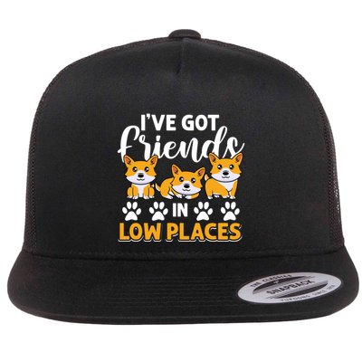 Pembroke Welsh Corgi Gift I've Got Friends In Low Places Gift Flatbill Hat