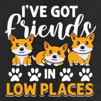 Pembroke Welsh Corgi Gift I've Got Friends In Low Places Gift 25L Jumbo Tote