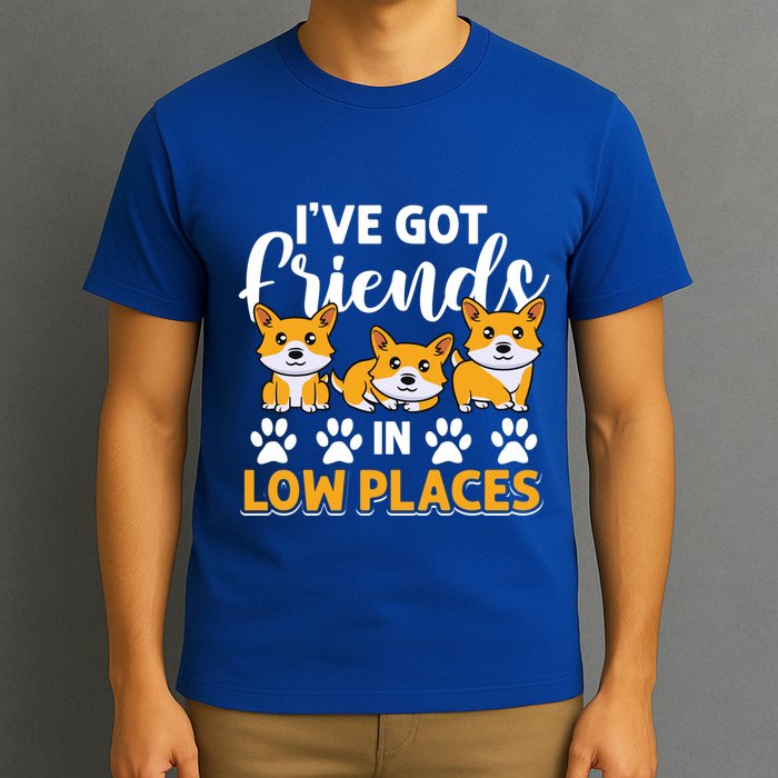 Pembroke Welsh Corgi Gift I've Got Friends In Low Places Gift T-Shirt