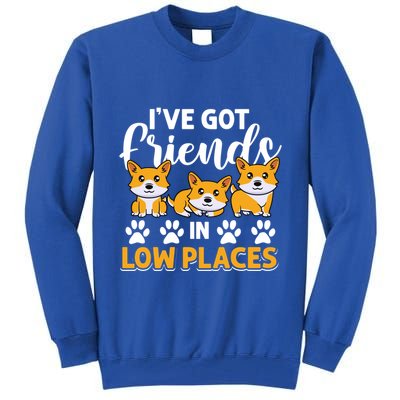 Pembroke Welsh Corgi Gift I've Got Friends In Low Places Gift Tall Sweatshirt