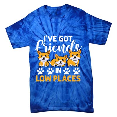 Pembroke Welsh Corgi Gift I've Got Friends In Low Places Gift Tie-Dye T-Shirt