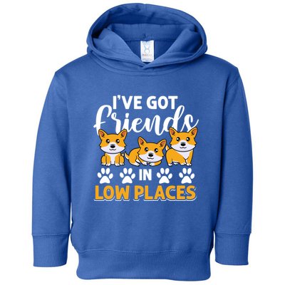 Pembroke Welsh Corgi Gift I've Got Friends In Low Places Gift Toddler Hoodie