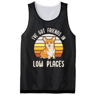 Pembroke Welsh Corgi Dog Ive Got Friends In Low Places Mesh Reversible Basketball Jersey Tank