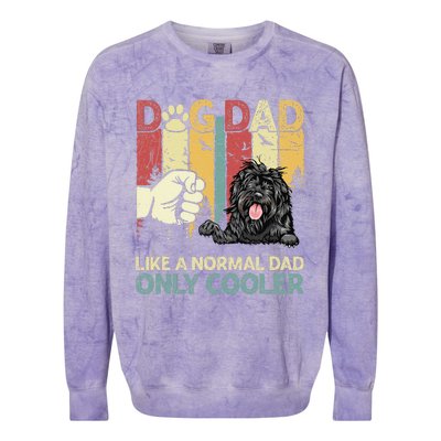 Portuguese Water Dog Dad Like A Normal Dad Only Cooler Colorblast Crewneck Sweatshirt