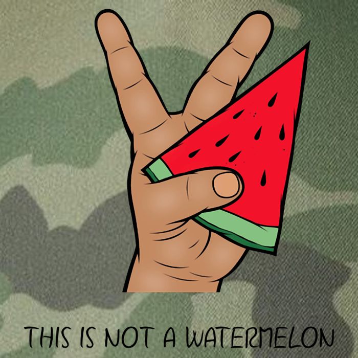 Palestine Watermelon Flag Support Gaza & Freedom! Legacy Tie Dye Trucker Hat