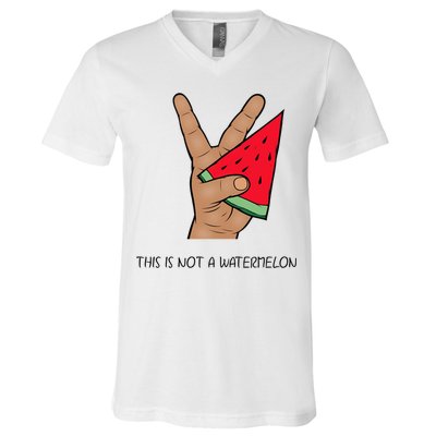 Palestine Watermelon Flag Support Gaza & Freedom! V-Neck T-Shirt