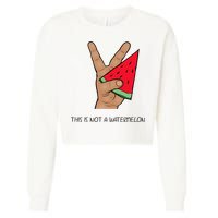 Palestine Watermelon Flag Support Gaza & Freedom! Cropped Pullover Crew