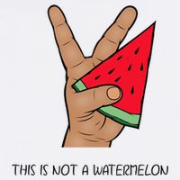 Palestine Watermelon Flag Support Gaza & Freedom! Wool Snapback Cap