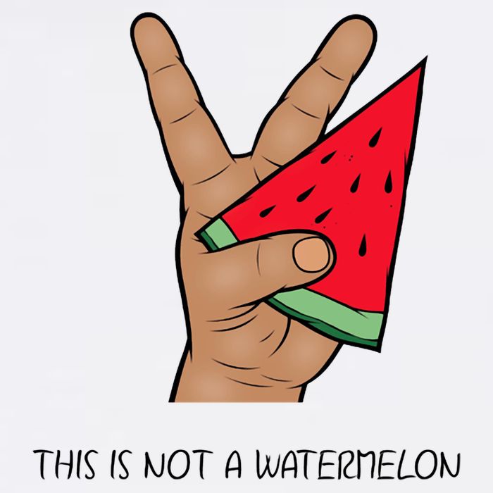 Palestine Watermelon Flag Support Gaza & Freedom! Wool Snapback Cap
