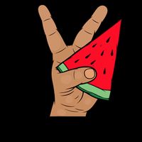 Palestine Watermelon Flag Support Gaza & Freedom! Cooling Performance Crew T-Shirt