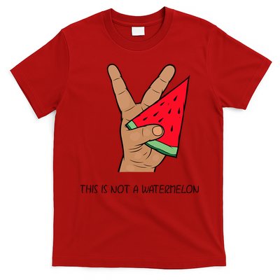 Palestine Watermelon Flag Support Gaza & Freedom! T-Shirt