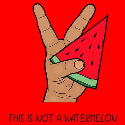 Palestine Watermelon Flag Support Gaza & Freedom! T-Shirt