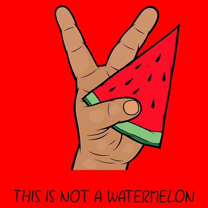 Palestine Watermelon Flag Support Gaza & Freedom! T-Shirt