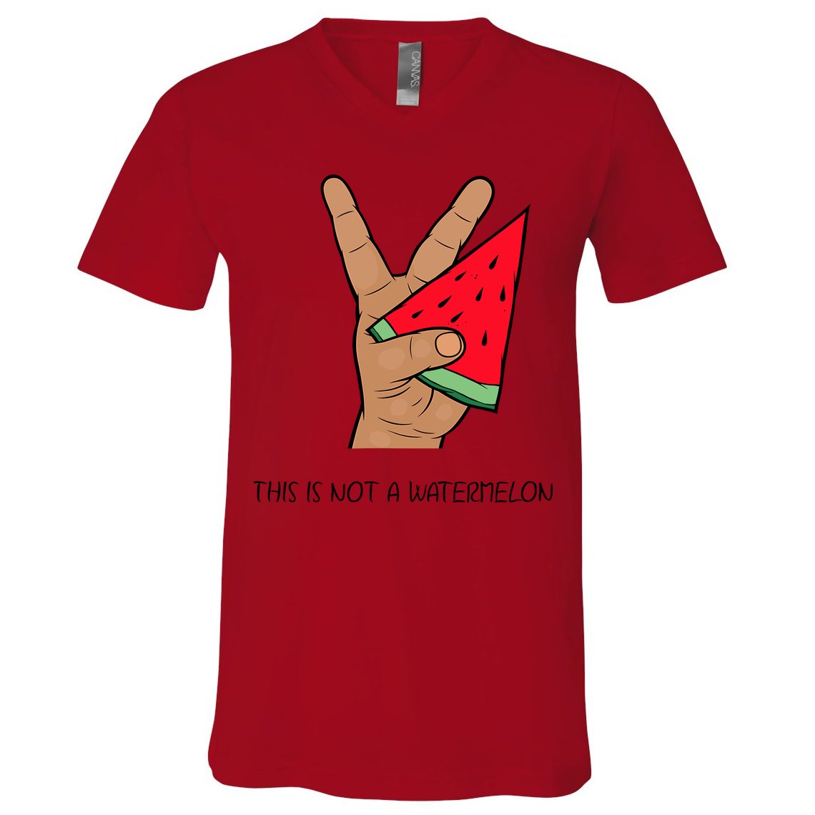 Palestine Watermelon Flag Support Gaza & Freedom! V-Neck T-Shirt