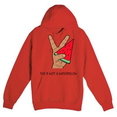 Palestine Watermelon Flag Support Gaza & Freedom! Premium Pullover Hoodie