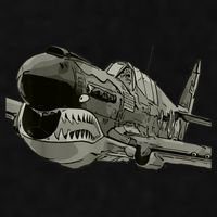 P40 Warhawk Fighter Aircraft WW2 Plane Spotting Spotter Ladies PosiCharge Tri-Blend Wicking Tank